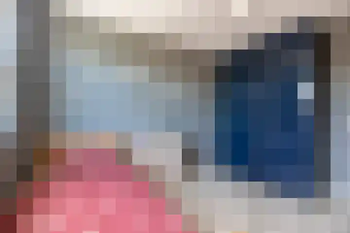 Lindeboom 90 Mook thumbnail 9