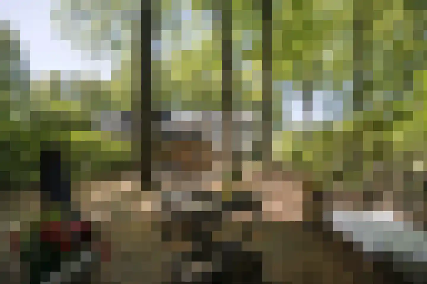 Lindeboomlaan 2 Wolfheze