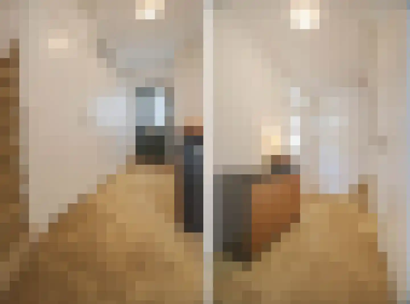 Lindeboomlaan 2 Wolfheze thumbnail 10