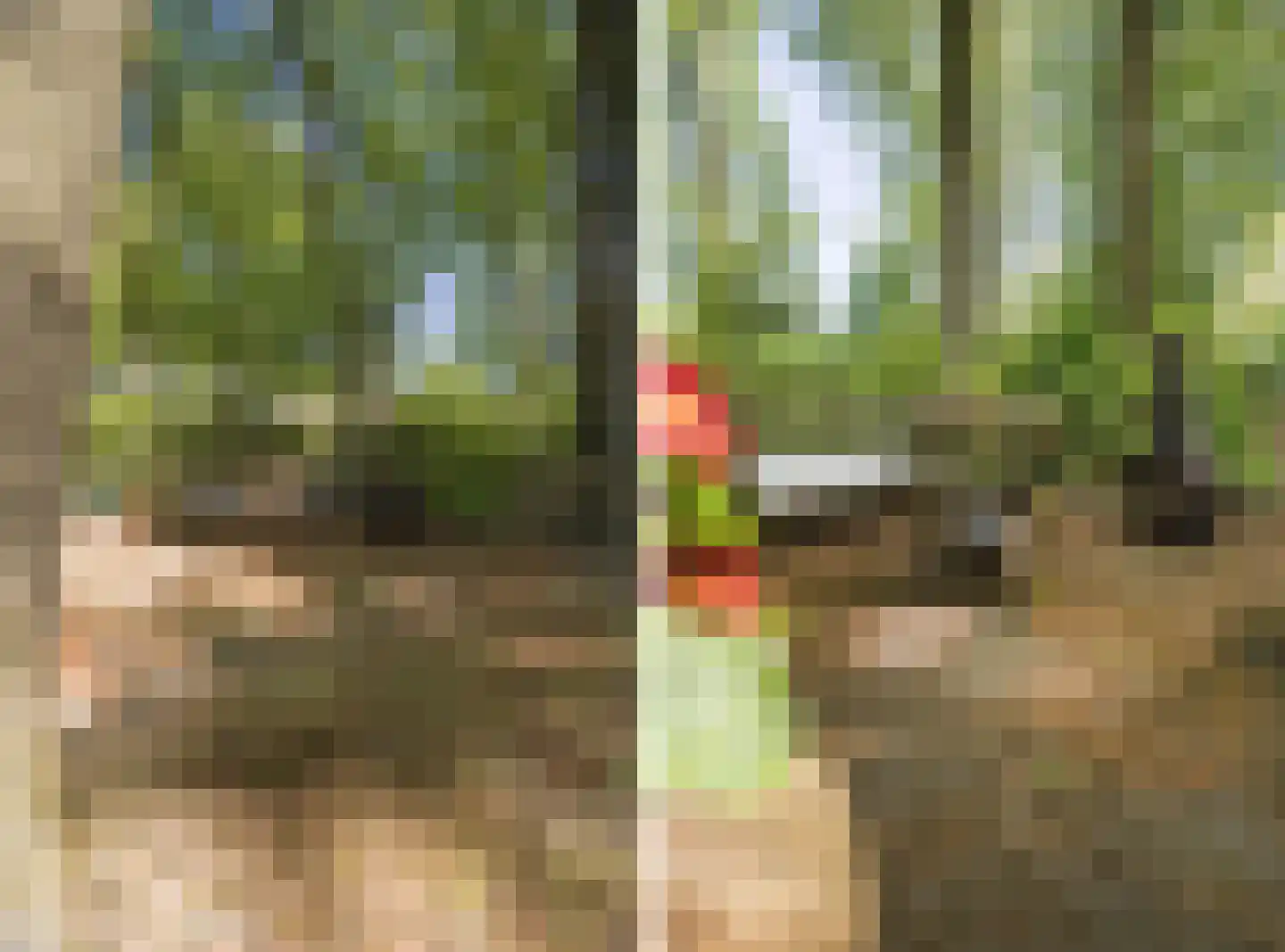 Lindeboomlaan 2 Wolfheze thumbnail 25