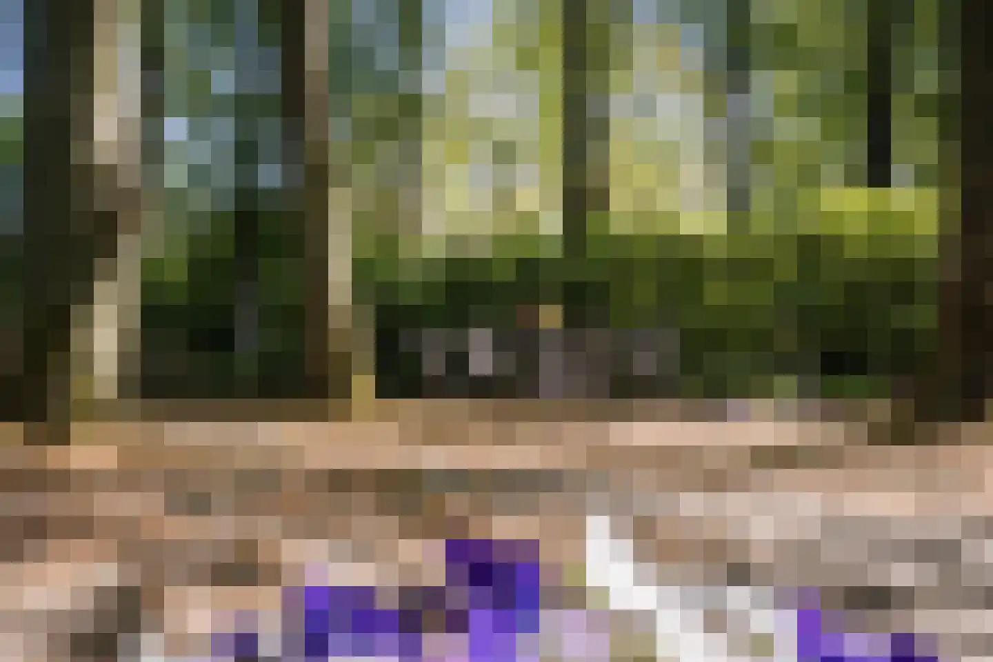 Lindeboomlaan 2 Wolfheze thumbnail 26