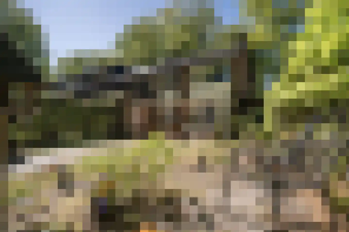 Lindeboomlaan 2 Wolfheze thumbnail 27