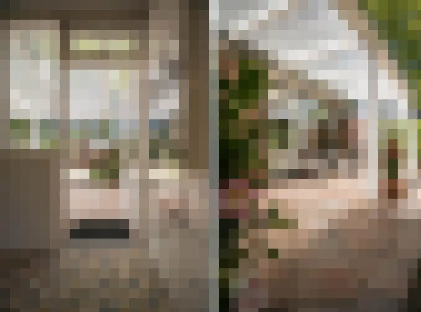 Lindeboomlaan 2 Wolfheze thumbnail 28
