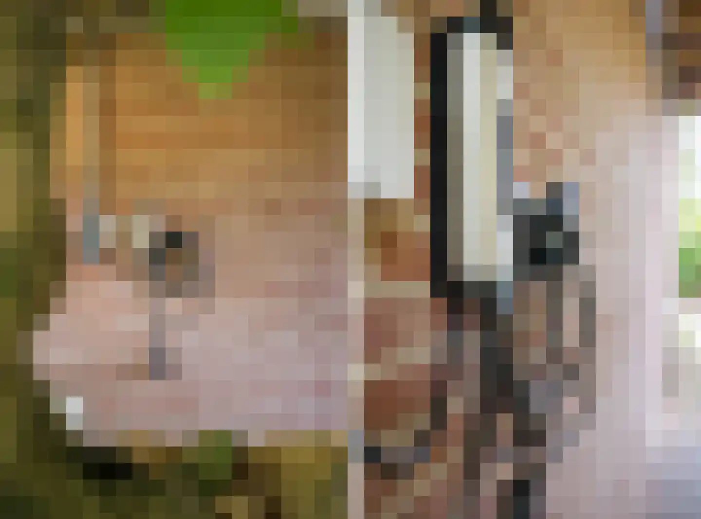 Lindeboomlaan 2 Wolfheze thumbnail 30