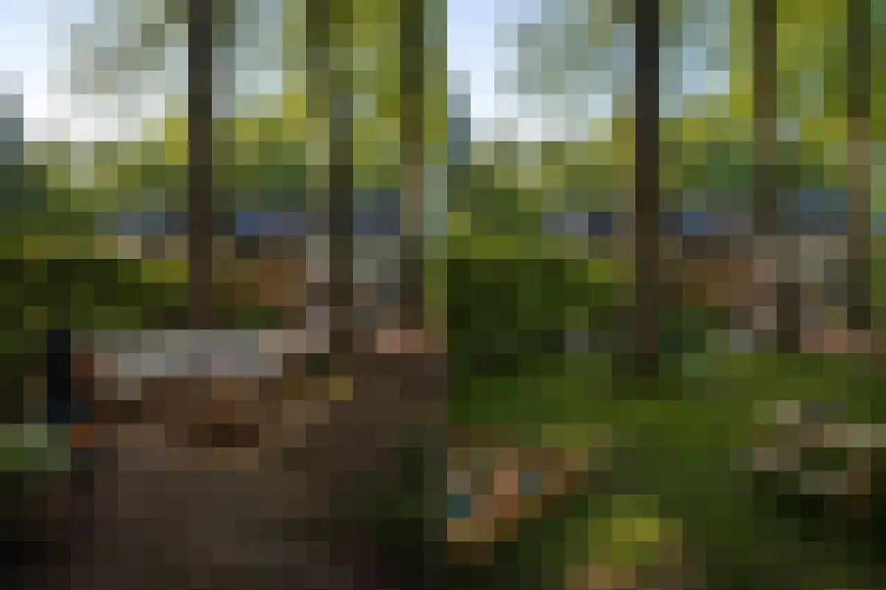 Lindeboomlaan 2 Wolfheze thumbnail 31
