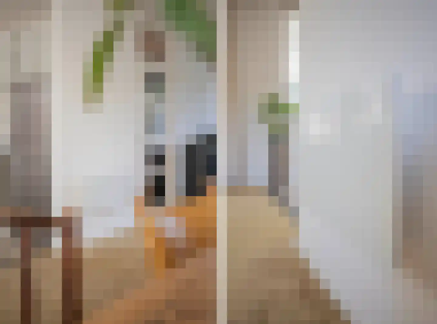 Lindeboomlaan 2 Wolfheze thumbnail 5