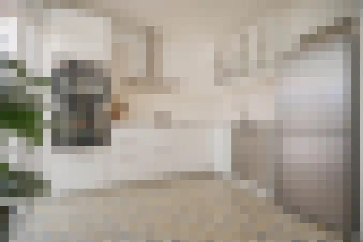 Lindeboomlaan 2 Wolfheze thumbnail 8