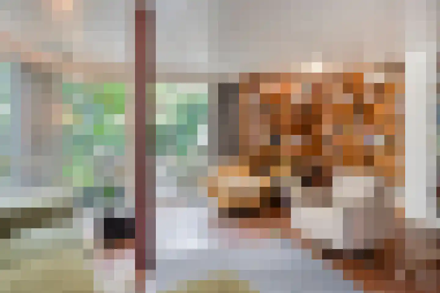 Lindeboomlaan 39 Wolfheze thumbnail 13