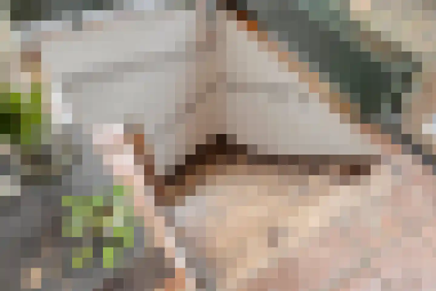 Lindeboomlaan 39 Wolfheze thumbnail 26
