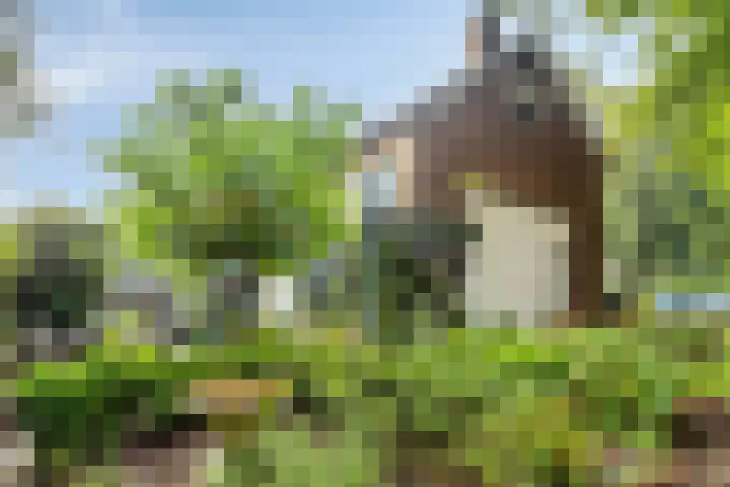 Lindeboomlaan 39 Wolfheze thumbnail 32