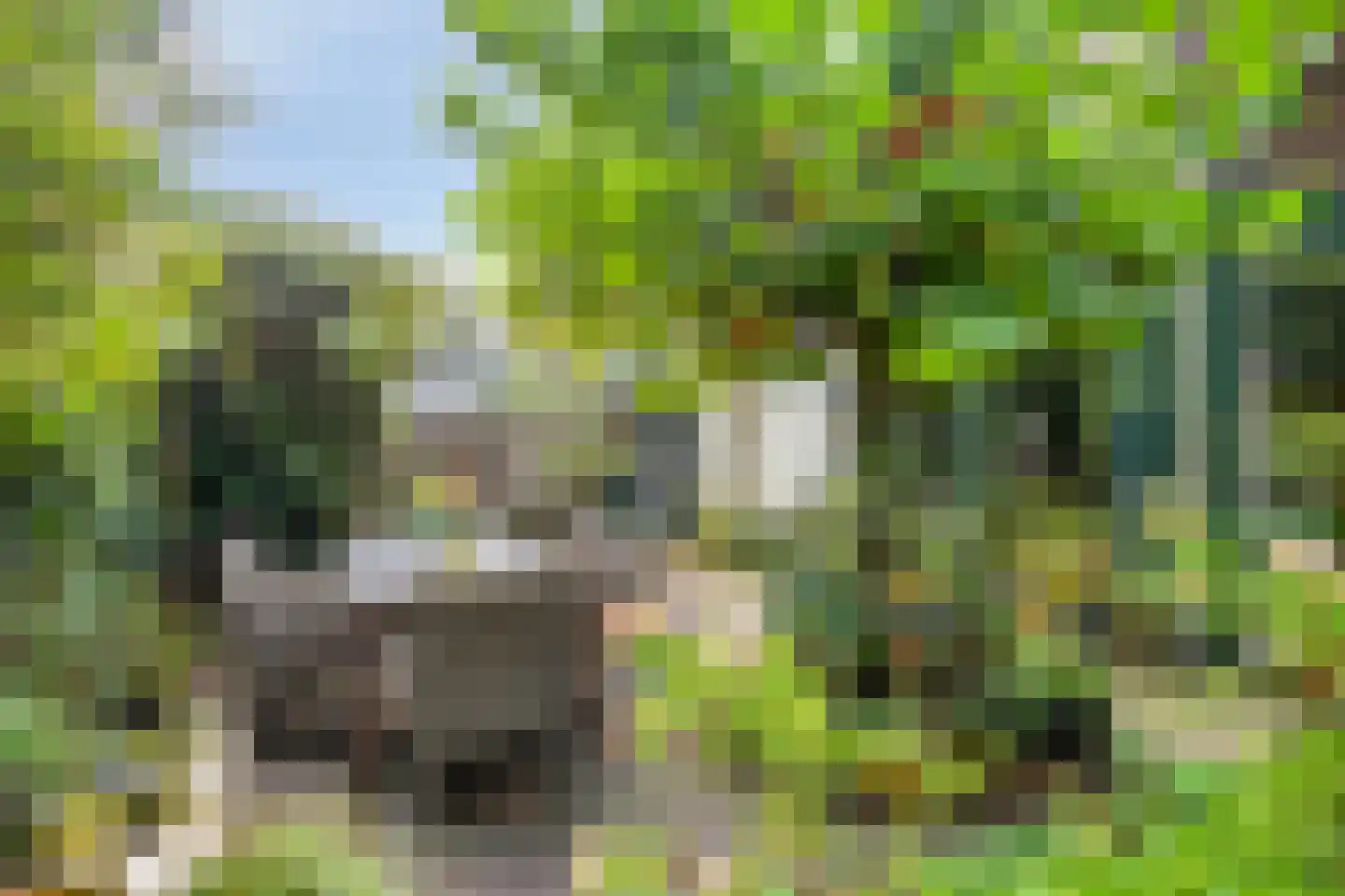 Lindeboomlaan 39 Wolfheze thumbnail 33