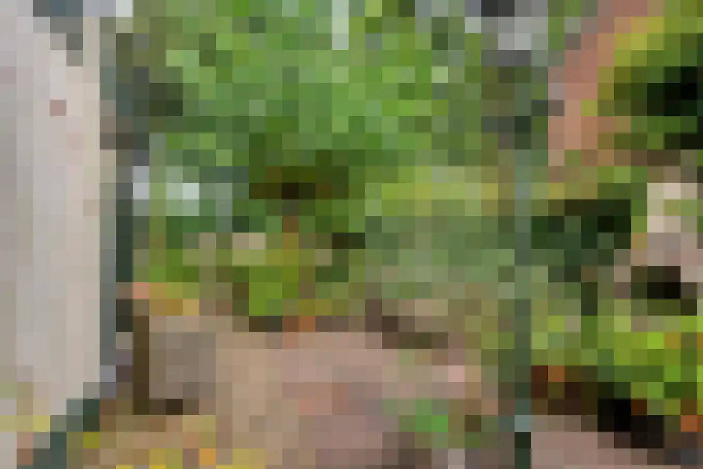 Lindeboomlaan 39 Wolfheze thumbnail 34