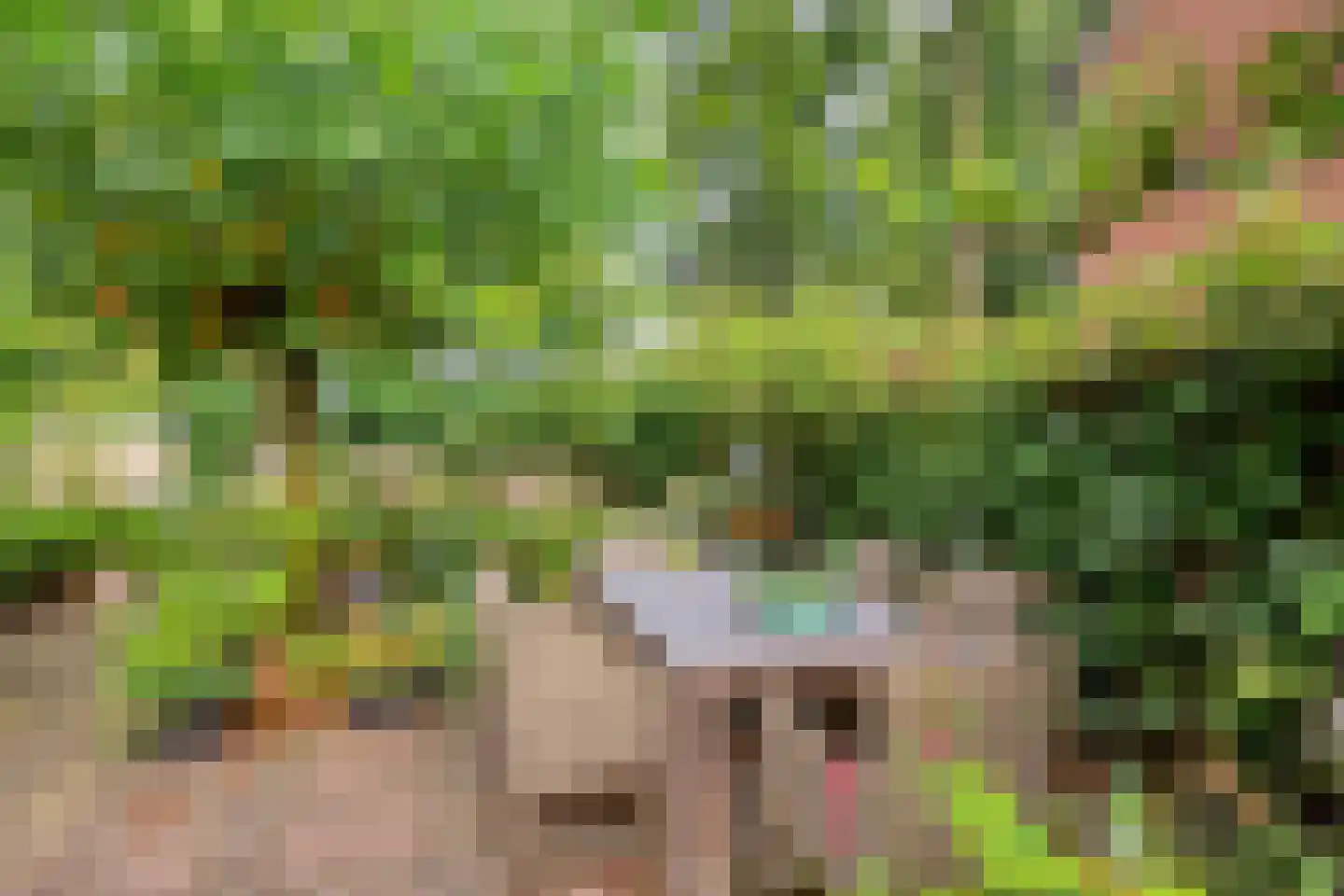 Lindeboomlaan 39 Wolfheze thumbnail 35