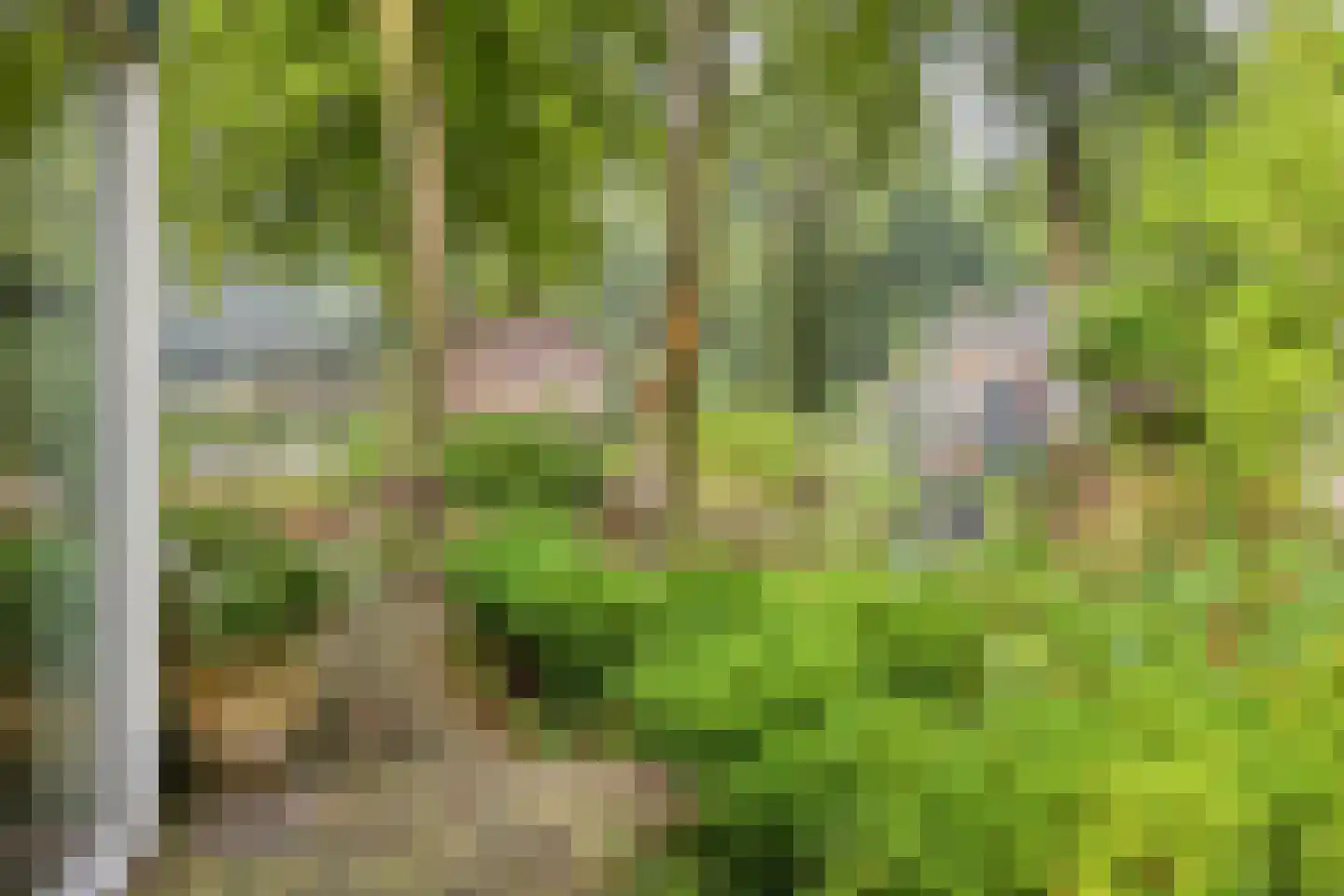 Lindeboomlaan 39 Wolfheze thumbnail 36