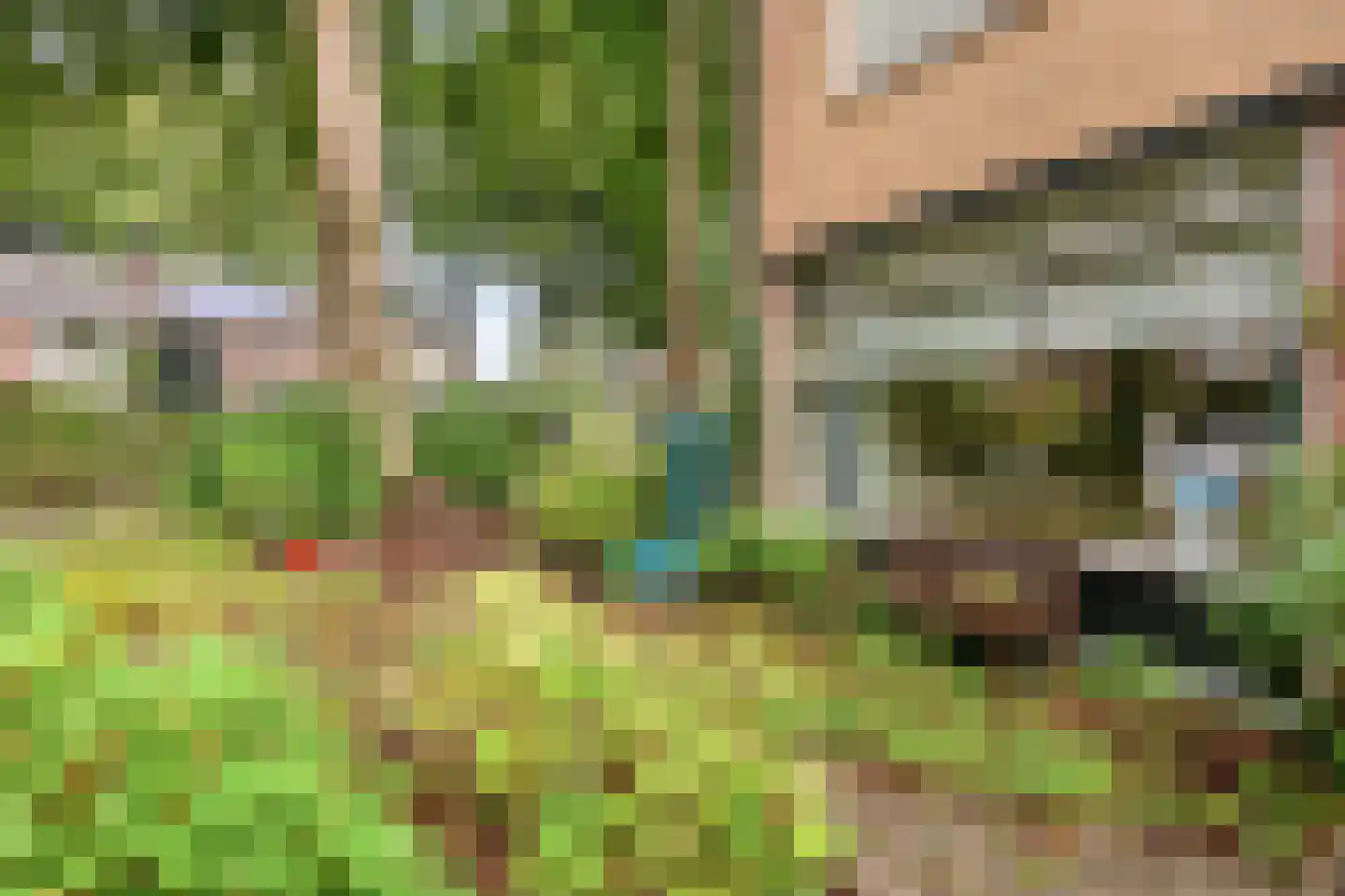 Lindeboomlaan 39 Wolfheze thumbnail 37