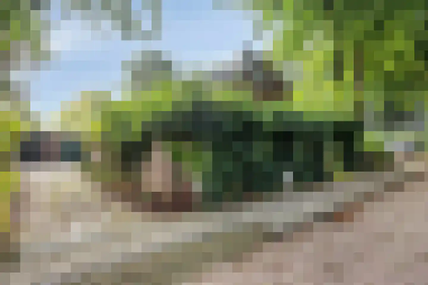 Lindeboomlaan 39 Wolfheze thumbnail 39