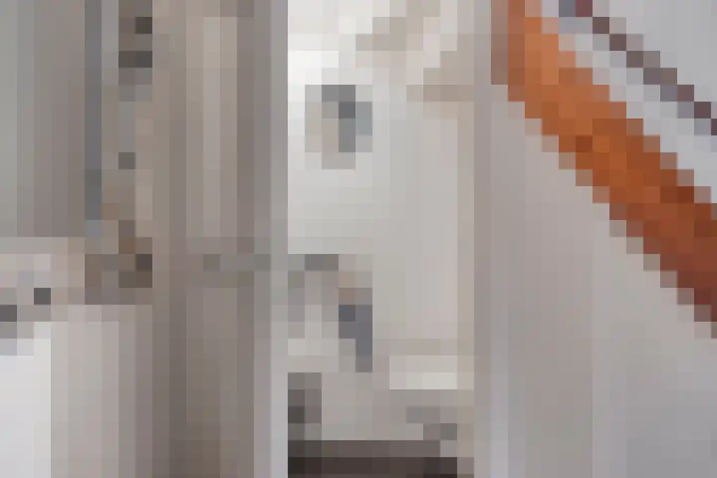 Lindeboomlaan 39 Wolfheze thumbnail 8
