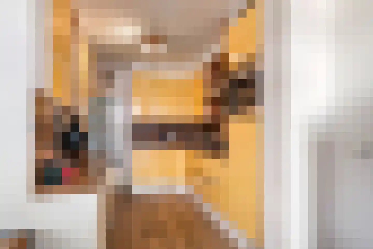 Lindeboomlaan 66 Wolfheze thumbnail 13