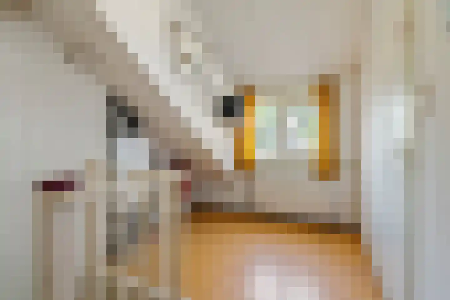Lindeboomlaan 66 Wolfheze thumbnail 25