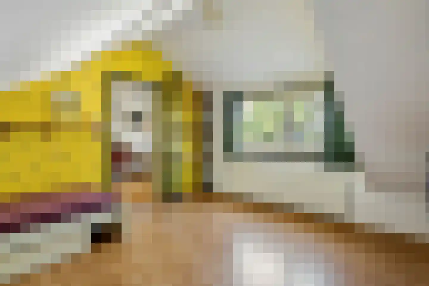 Lindeboomlaan 66 Wolfheze thumbnail 27