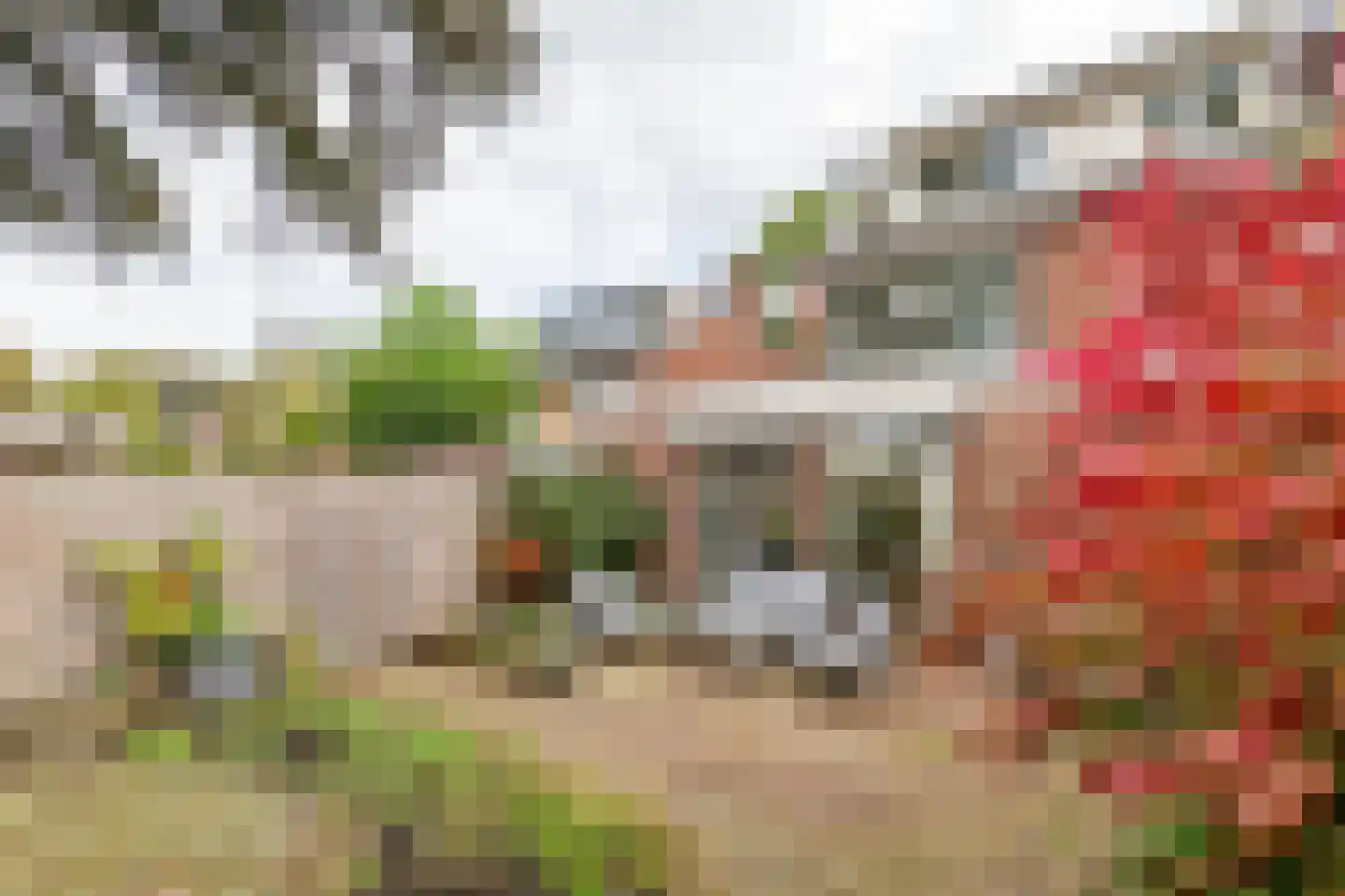 Lindeboomlaan 66 Wolfheze thumbnail 29