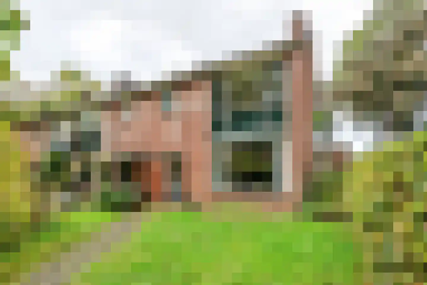 Lindeboomlaan 66 Wolfheze thumbnail 30