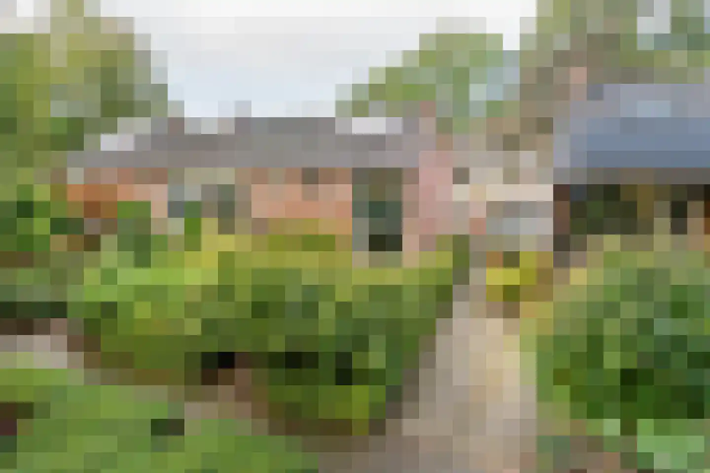 Lindeboomlaan 66 Wolfheze thumbnail 31