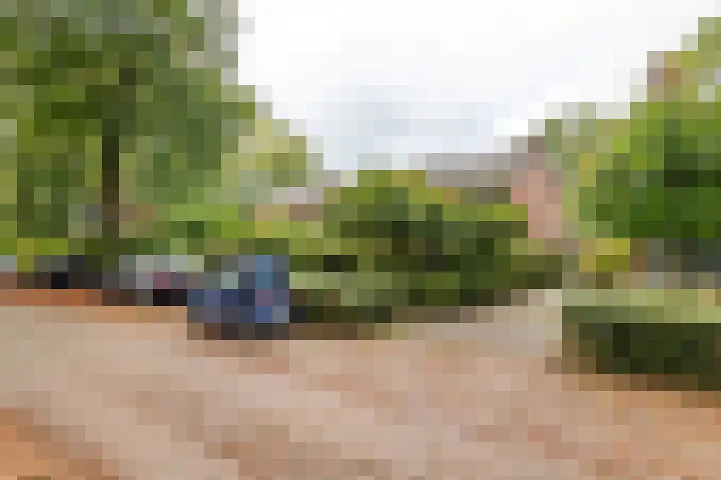 Lindeboomlaan 66 Wolfheze thumbnail 32