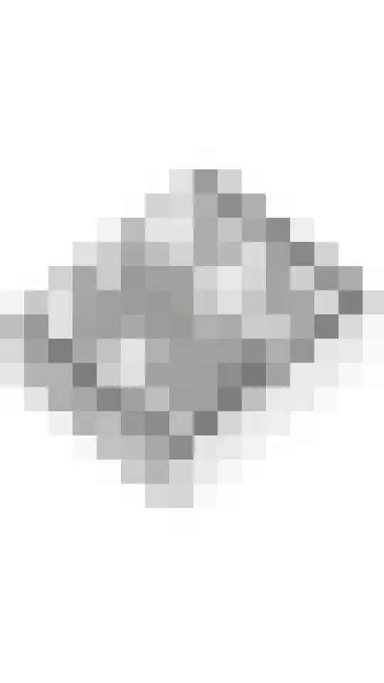 Lindeboomlaan 66 Wolfheze thumbnail 36