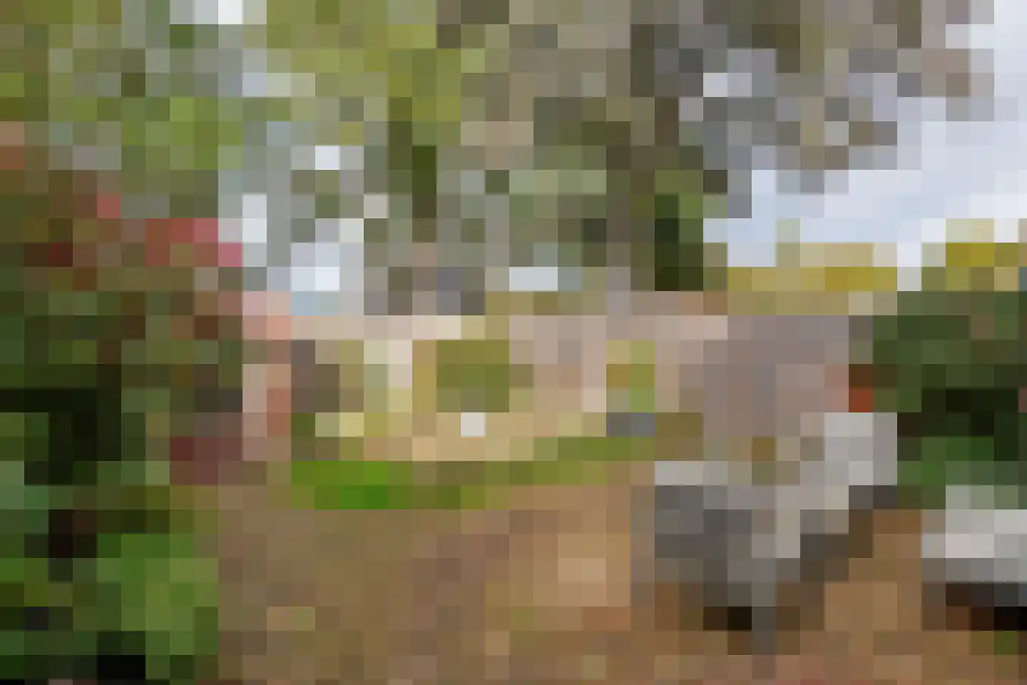 Lindeboomlaan 66 Wolfheze thumbnail 4