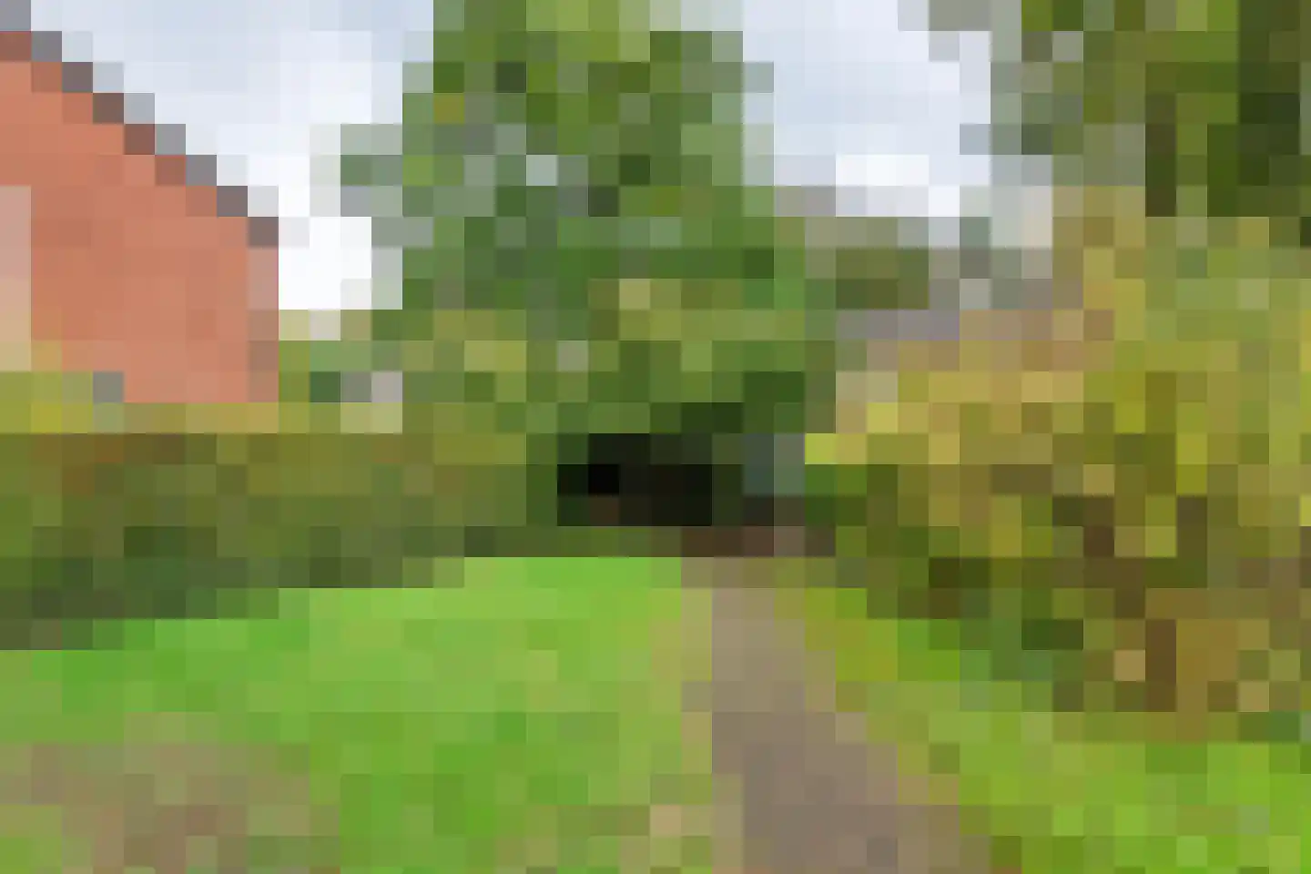 Lindeboomlaan 66 Wolfheze thumbnail 5