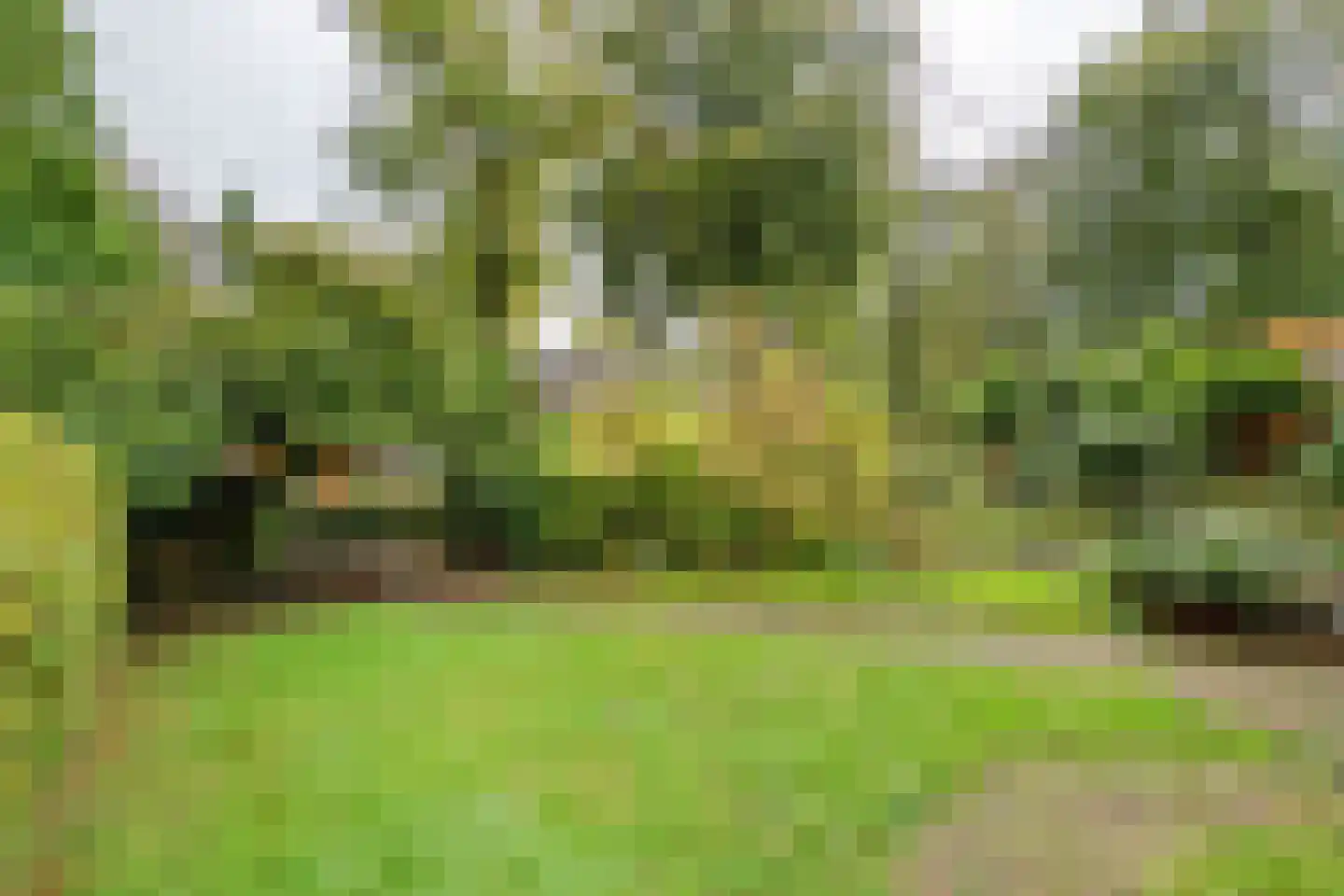 Lindeboomlaan 66 Wolfheze thumbnail 6