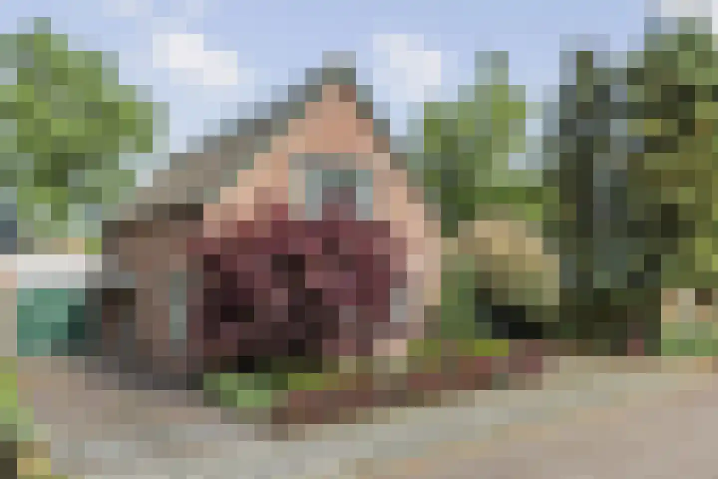 Lindeboomlaan 72 Wolfheze