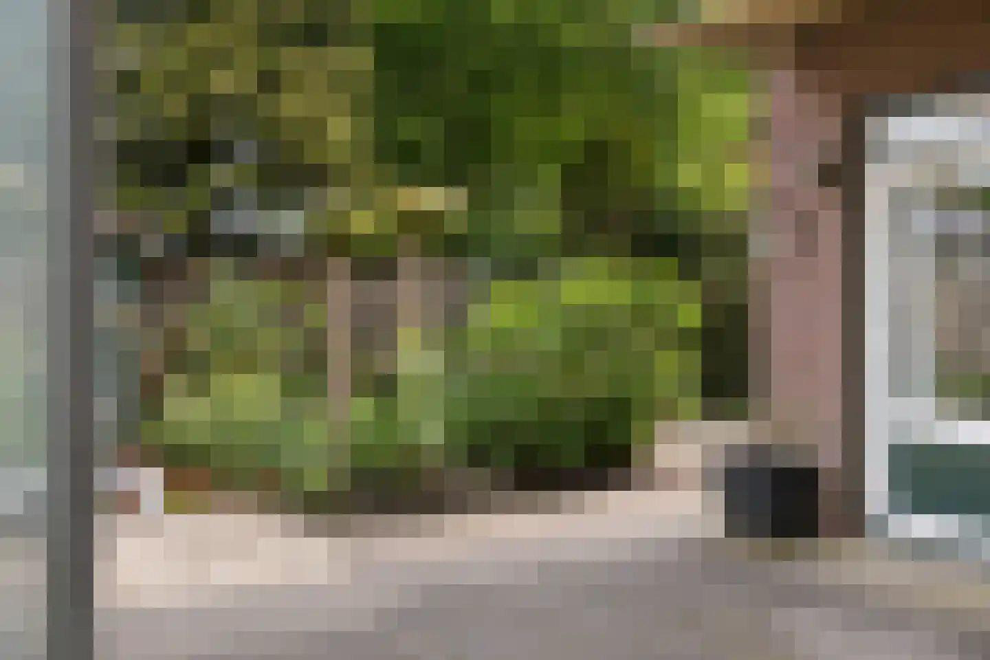 Lindeboomlaan 72 Wolfheze thumbnail 14