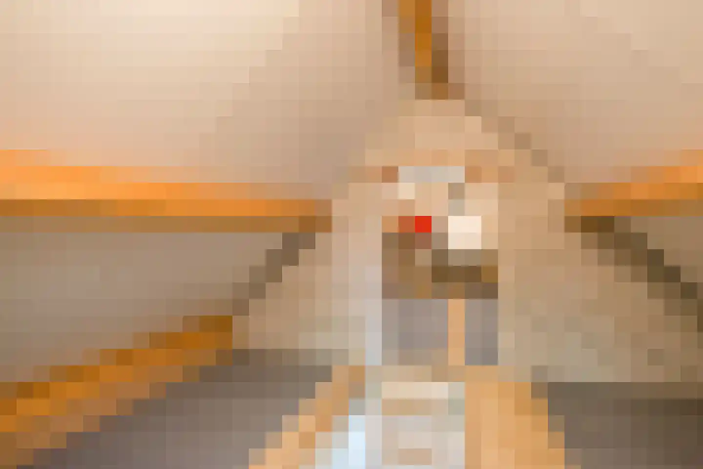 Lindeboomlaan 72 Wolfheze thumbnail 30