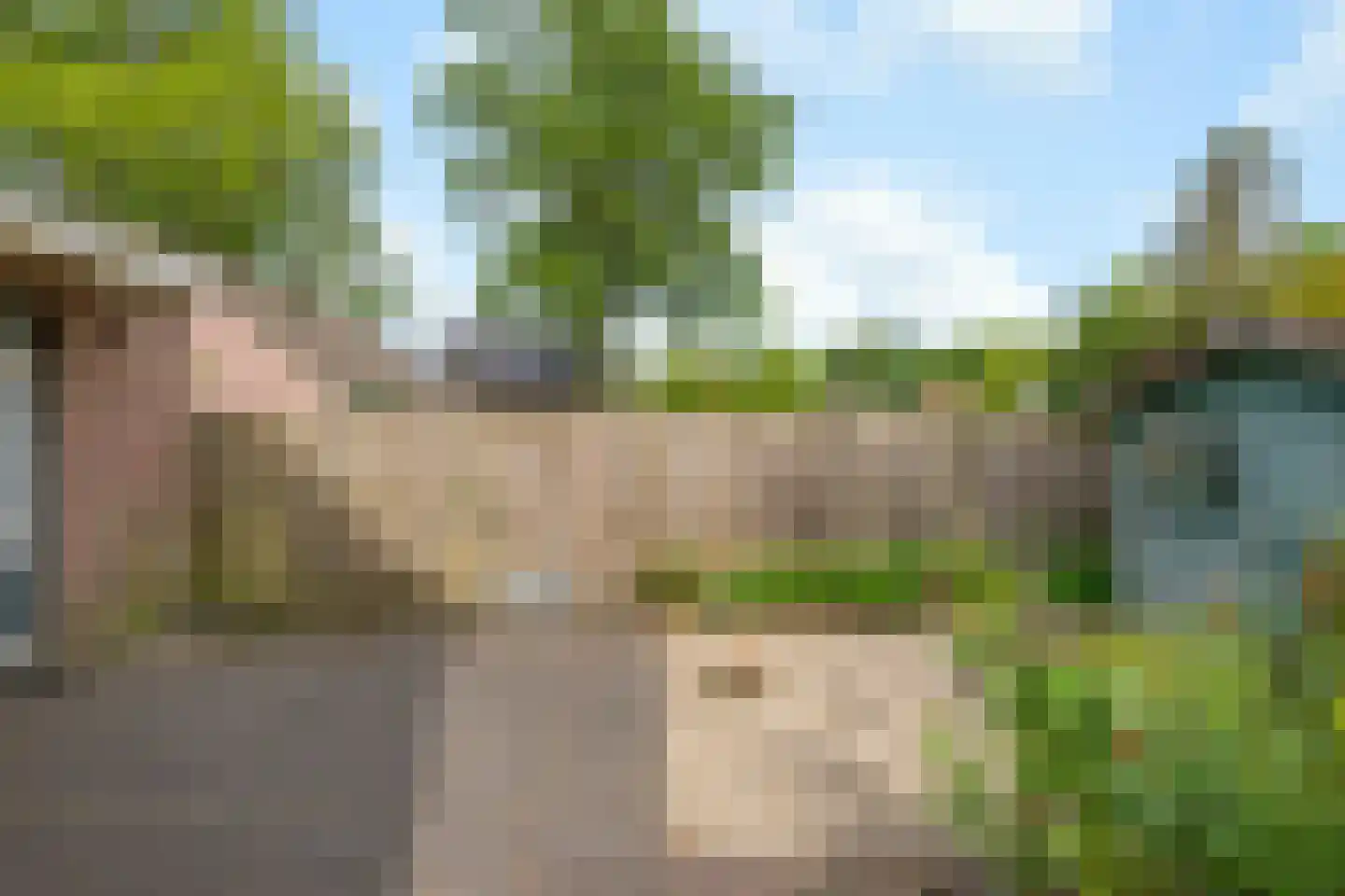 Lindeboomlaan 72 Wolfheze thumbnail 32