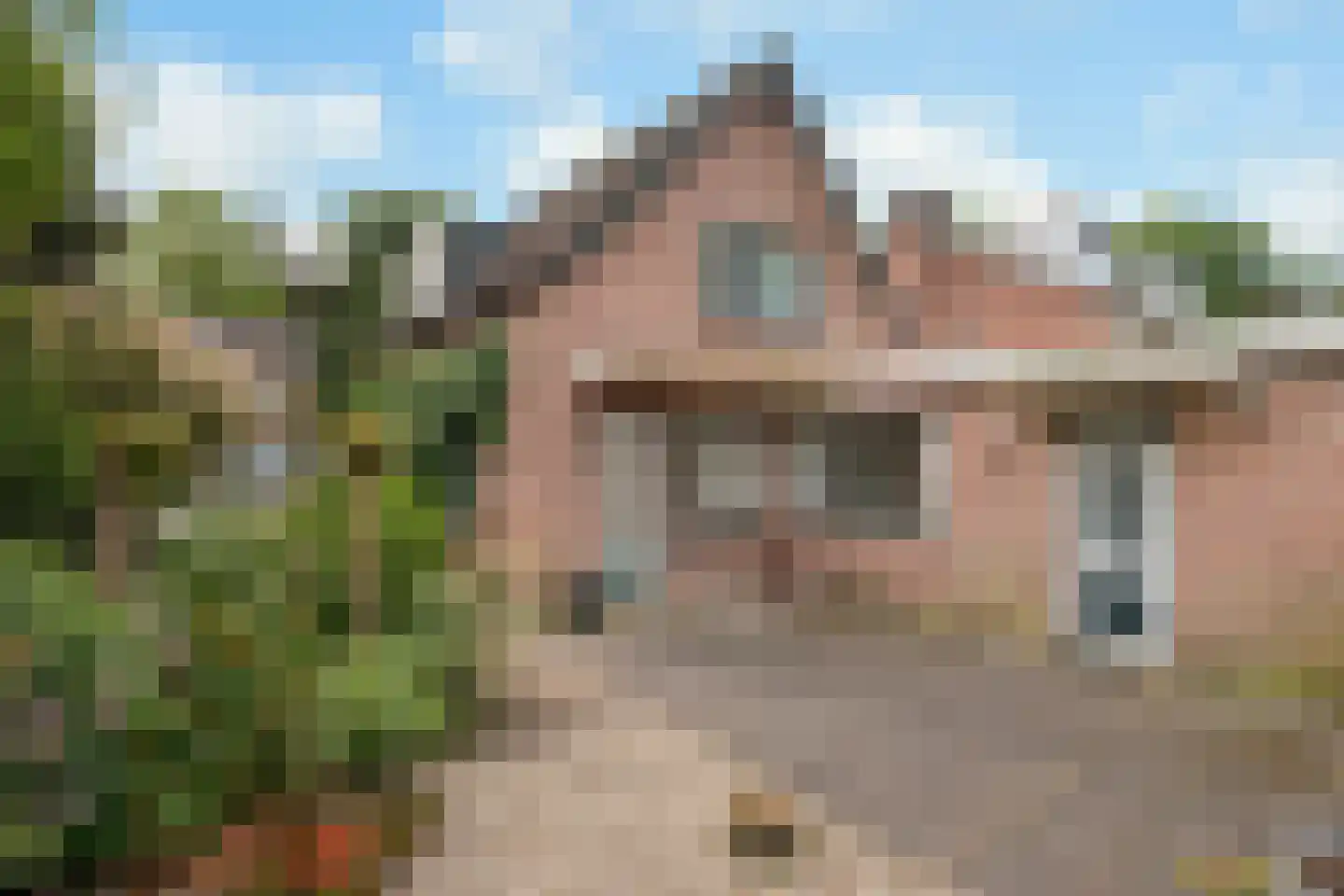 Lindeboomlaan 72 Wolfheze thumbnail 34