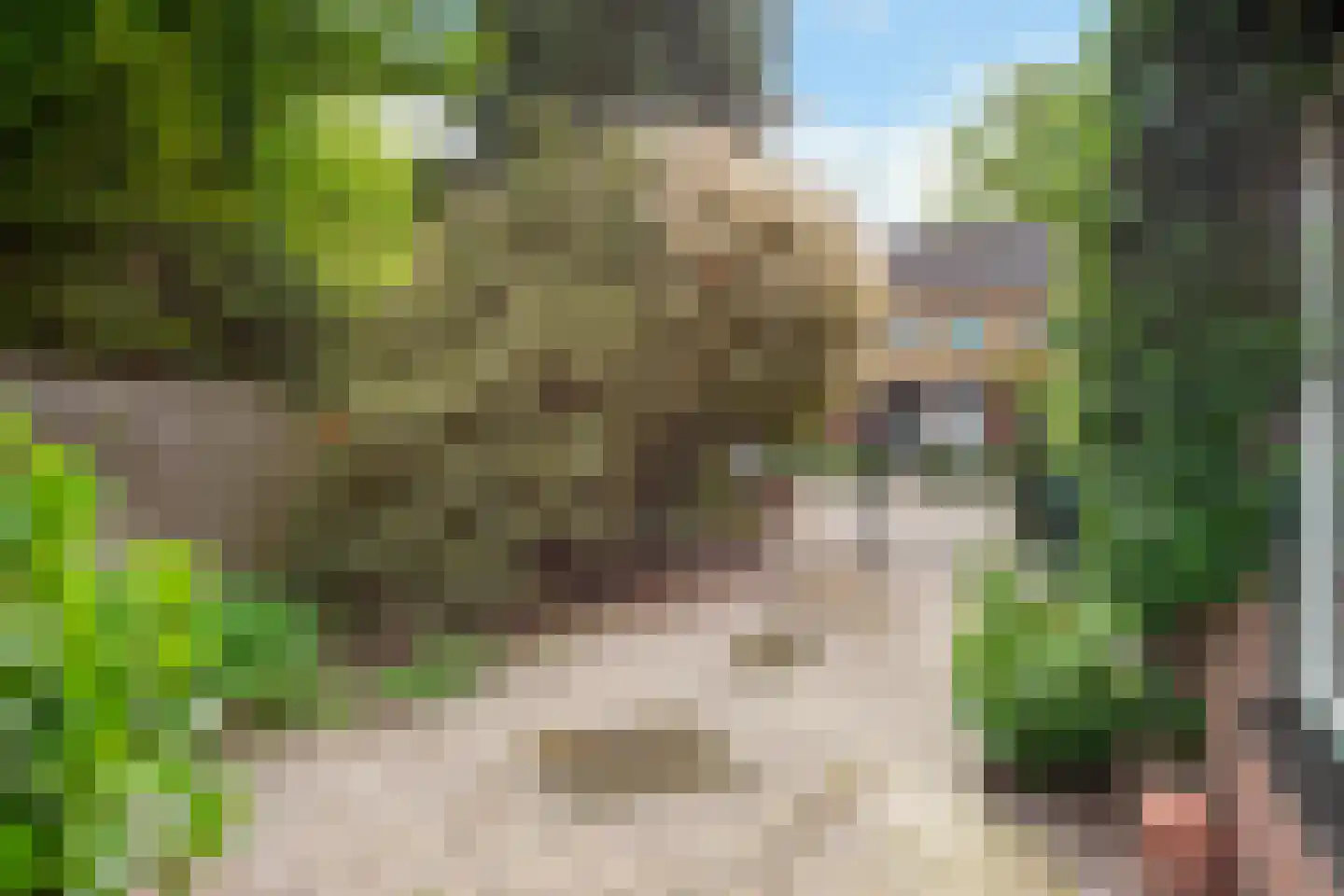 Lindeboomlaan 72 Wolfheze thumbnail 36