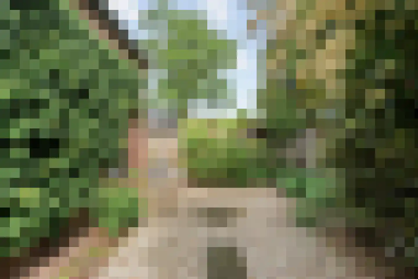 Lindeboomlaan 72 Wolfheze thumbnail 37