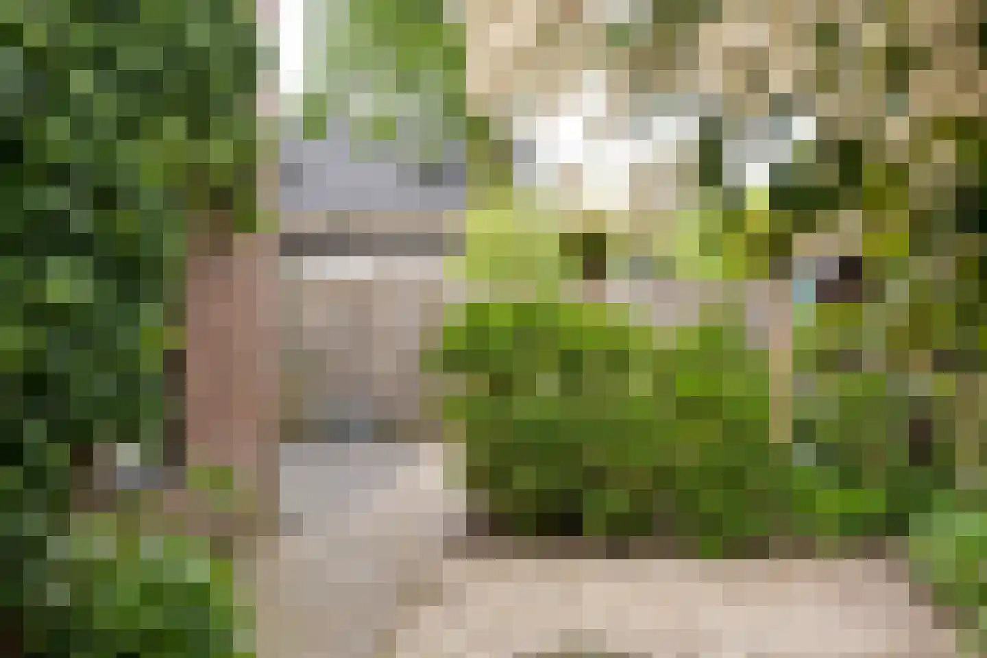 Lindeboomlaan 72 Wolfheze thumbnail 38