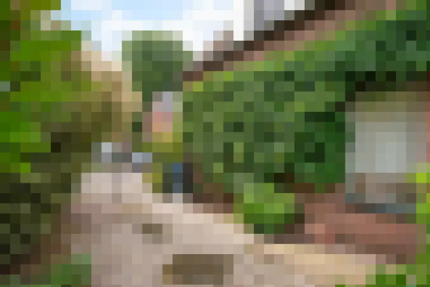 Lindeboomlaan 72 Wolfheze thumbnail 39
