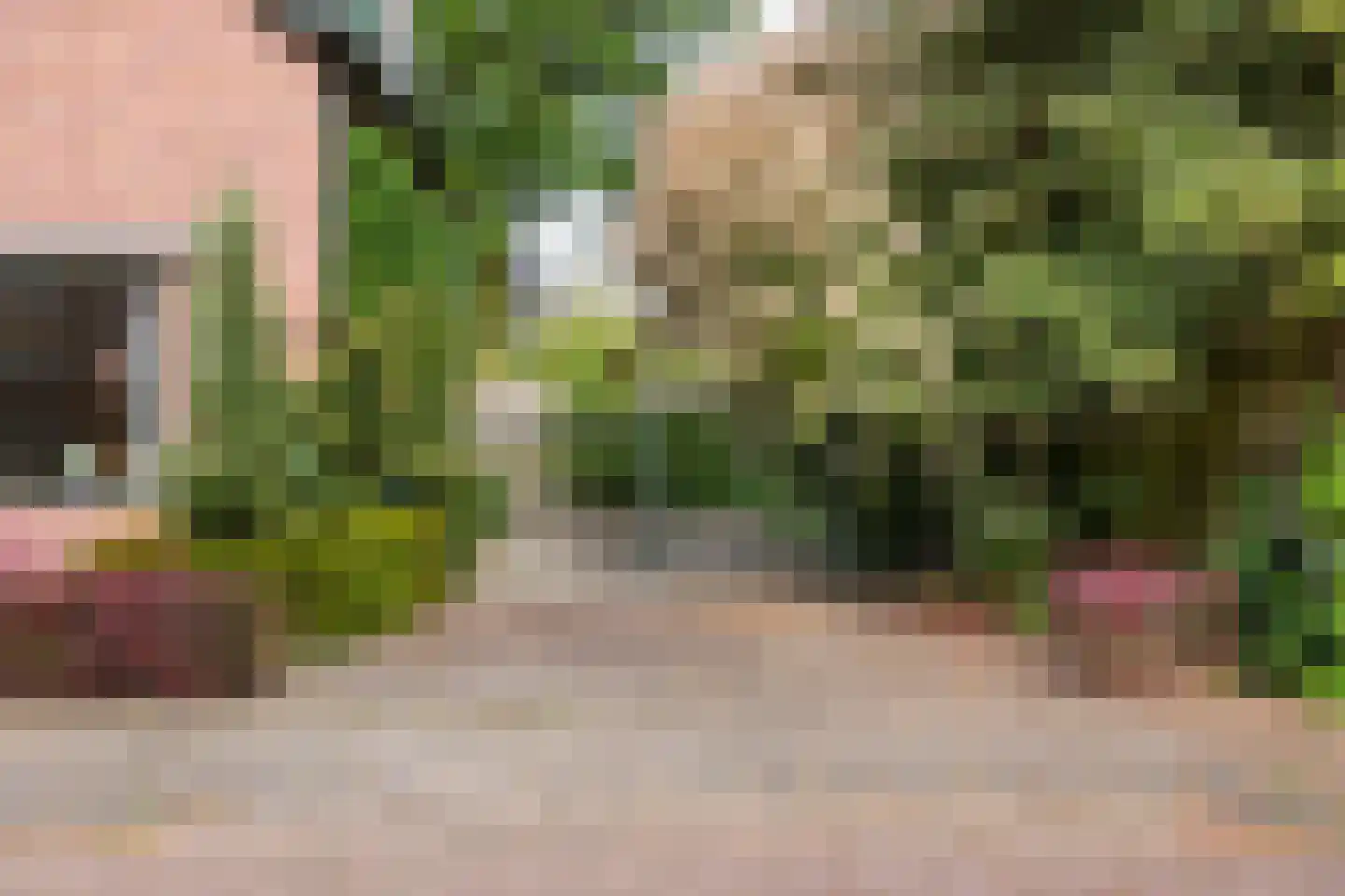 Lindeboomlaan 72 Wolfheze thumbnail 40