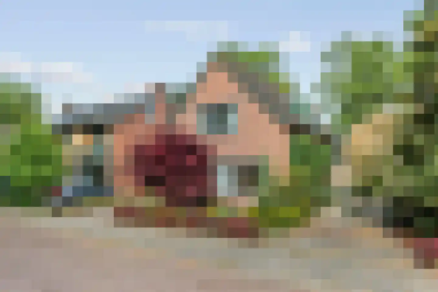 Lindeboomlaan 72 Wolfheze thumbnail 41