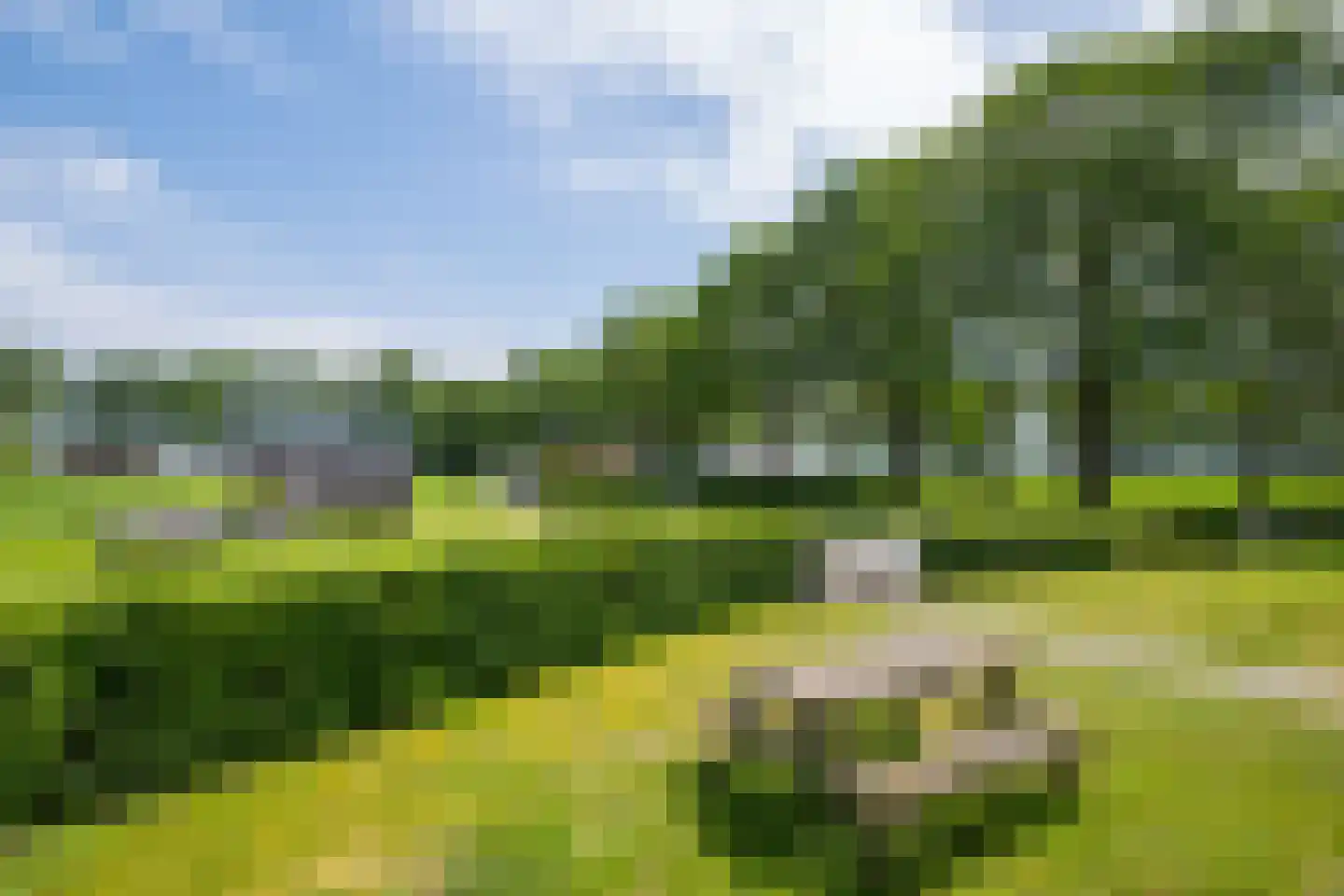 Lindeboomweg 26 a Harreveld thumbnail 37