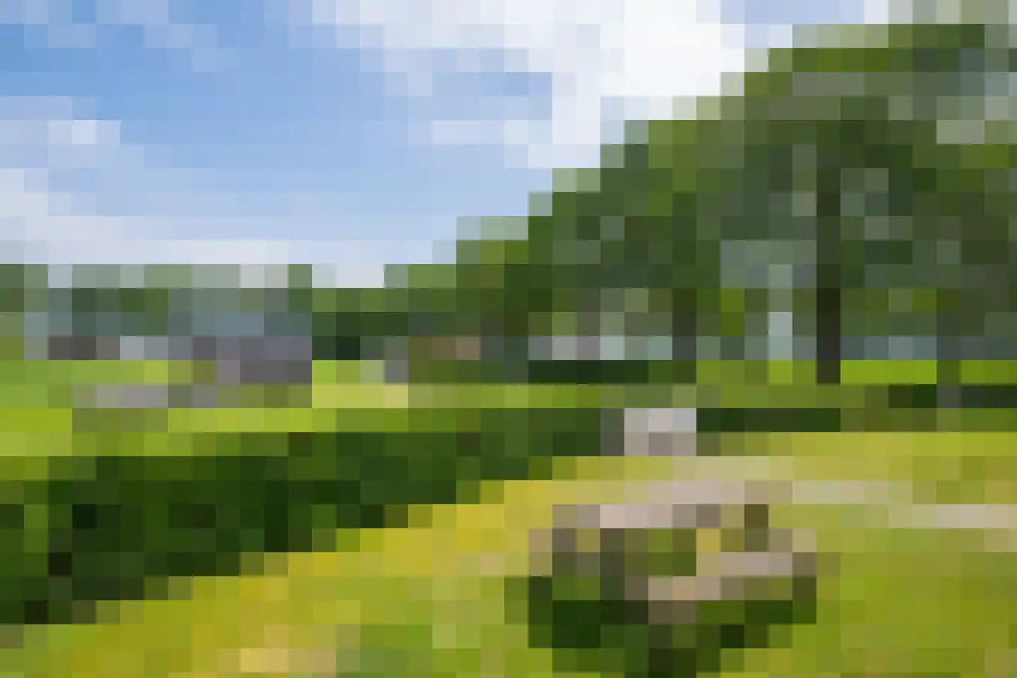 Lindeboomweg 26 a Harreveld thumbnail 37