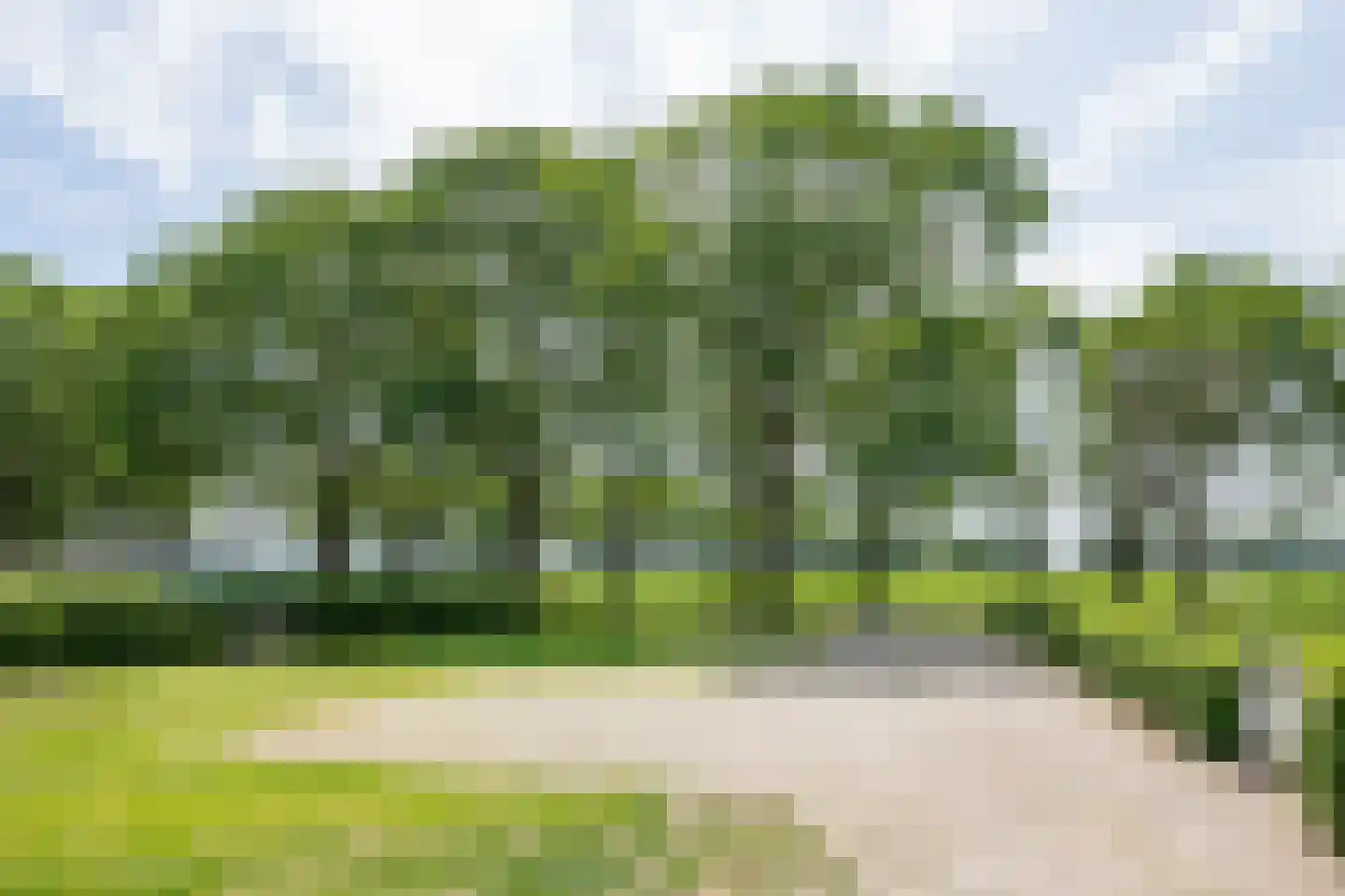 Lindeboomweg 26 a Harreveld thumbnail 42