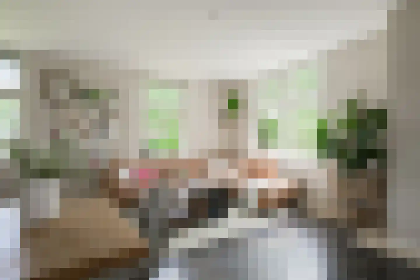Lindeboomweg 26 Harreveld thumbnail 10