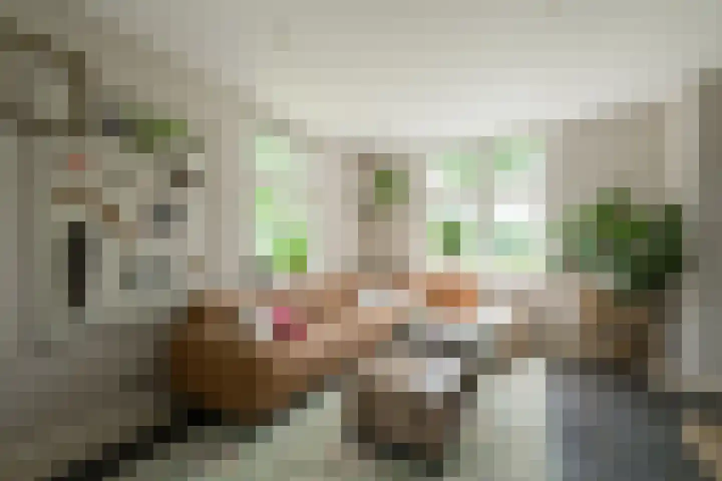 Lindeboomweg 26 Harreveld thumbnail 11