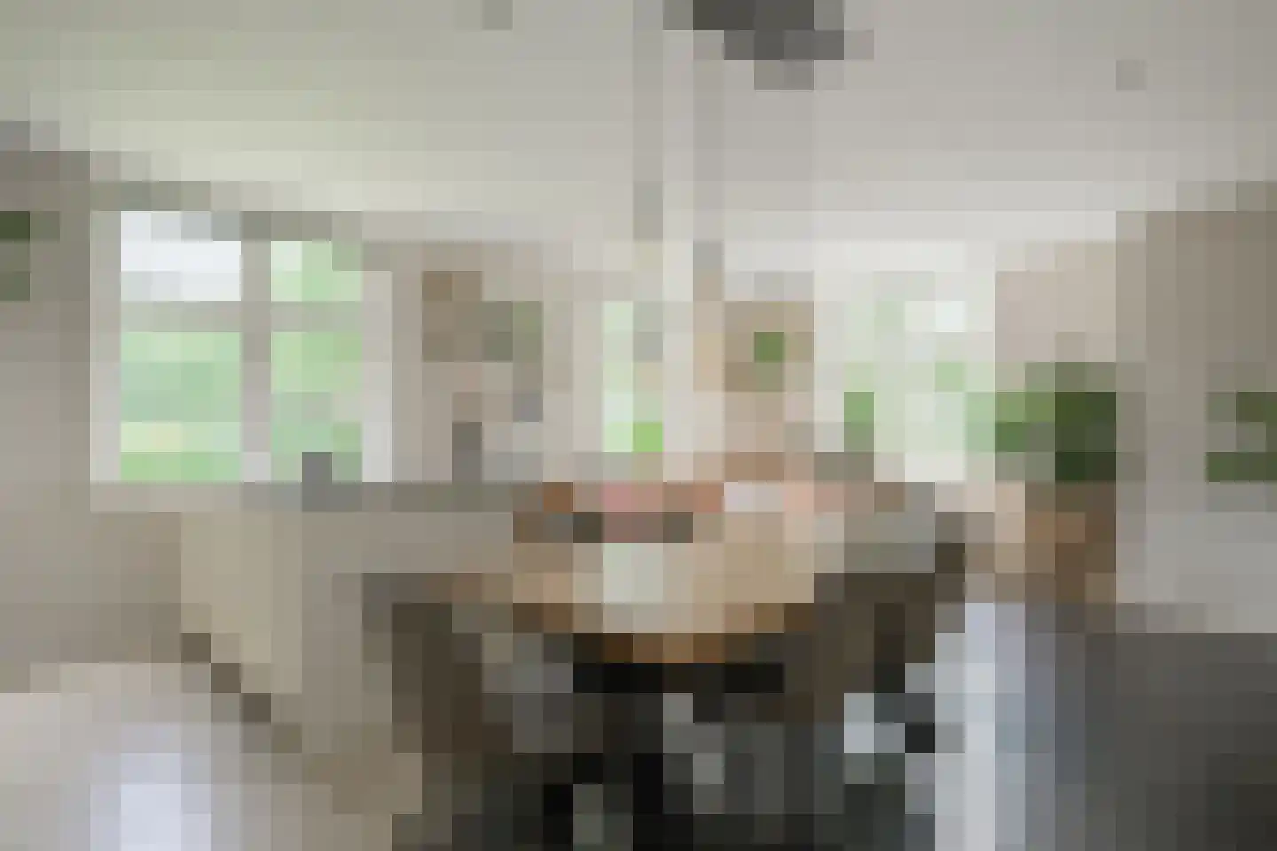 Lindeboomweg 26 Harreveld thumbnail 12