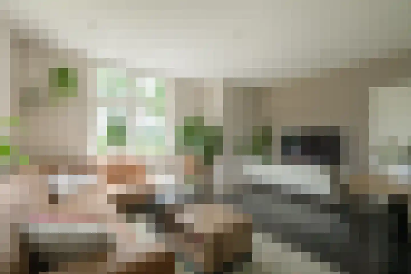 Lindeboomweg 26 Harreveld thumbnail 13